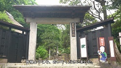 sanmon